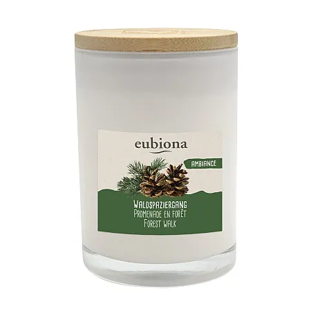 eubiona Duftkerze im Glas Waldspaziergang