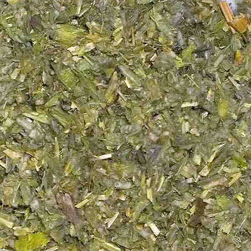 Griechisches Eisenkraut / Griechischer Bergtee / Berufskraut