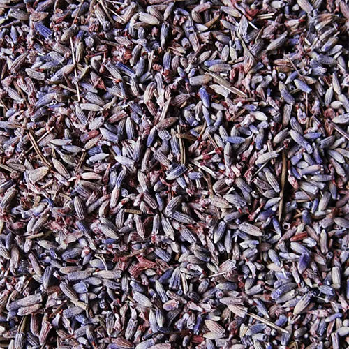 Lavendelblüte französisch ganz 1. Qualität