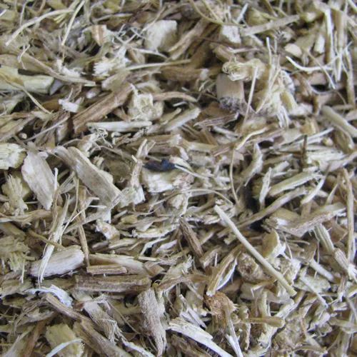 Mäusedorn geschnitten