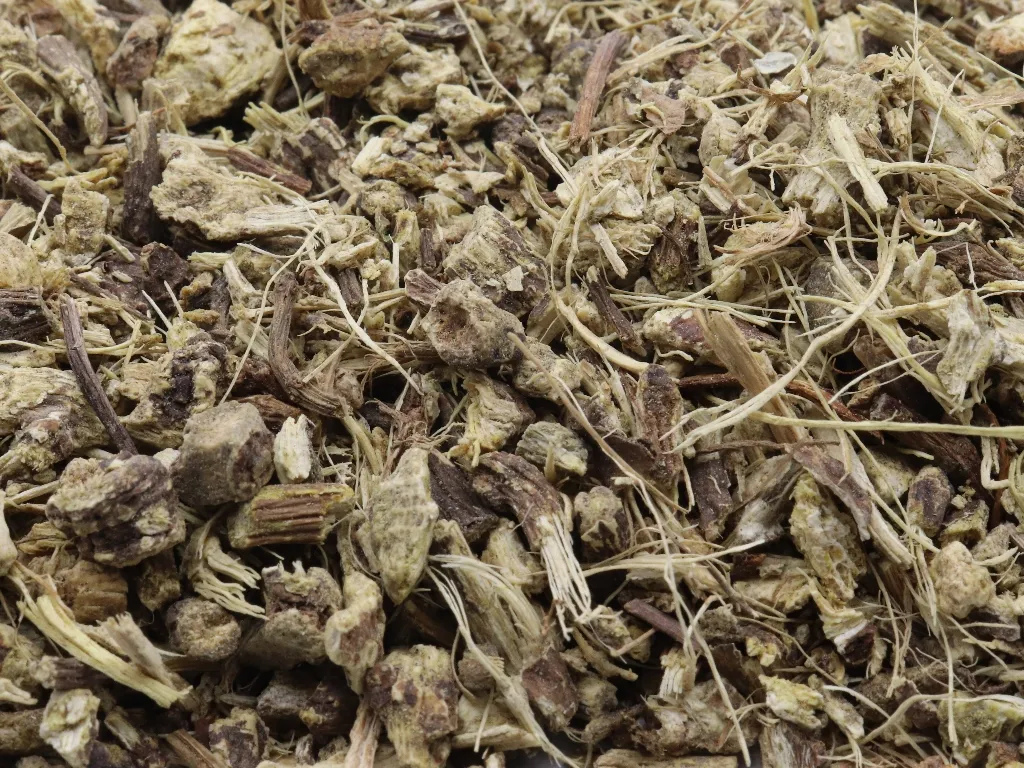 Meisterwurzwurzel geschnitten