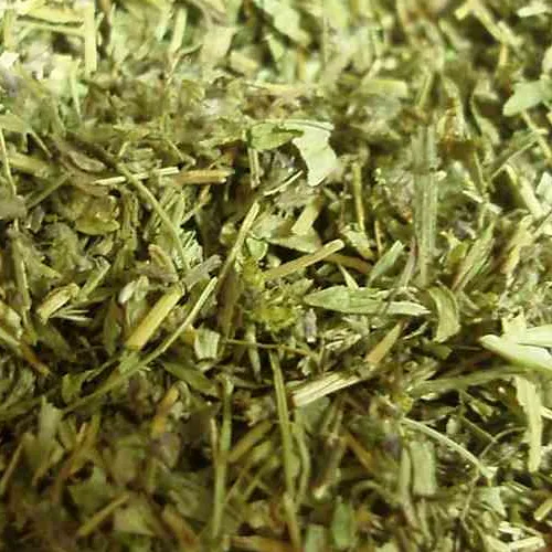 Quendelkraut geschnitten