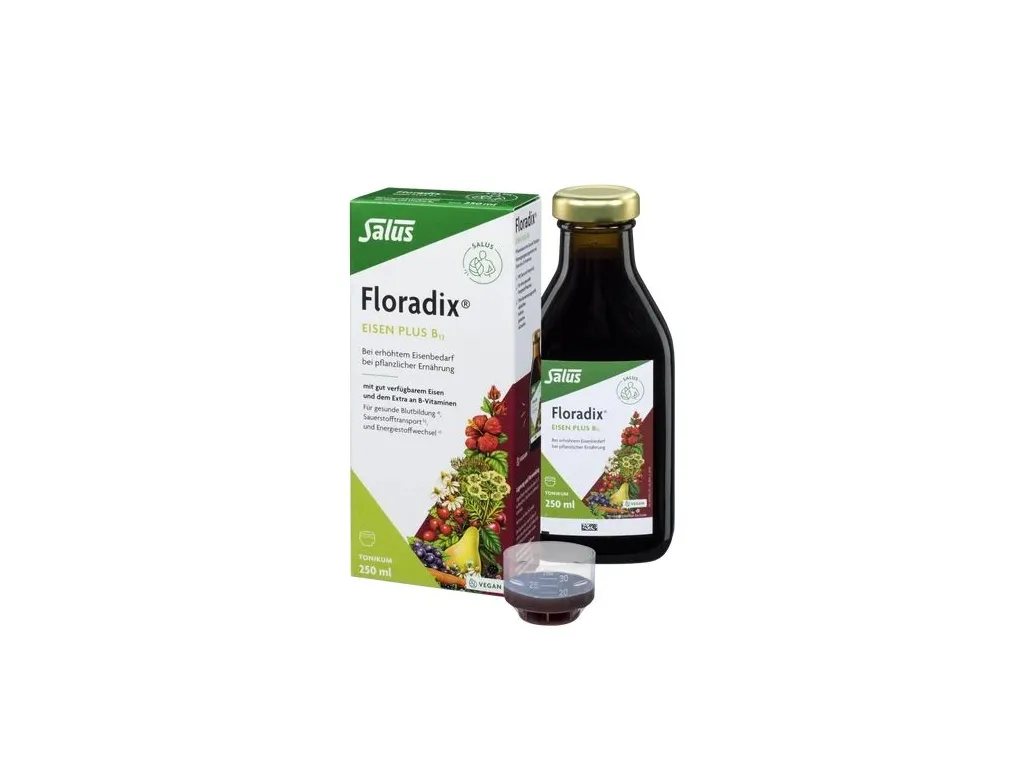 Salus Floradix Eisen plus B12 vegan (250 ml)