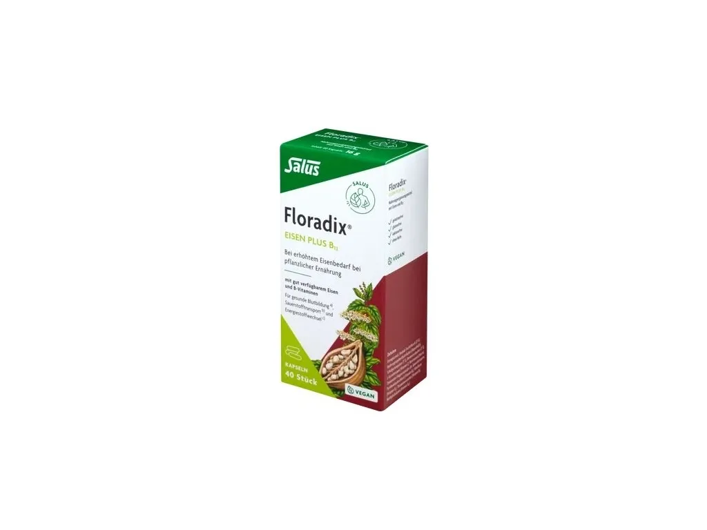 Salus Floradix Eisen plus B12 vegan (40 Kapseln)