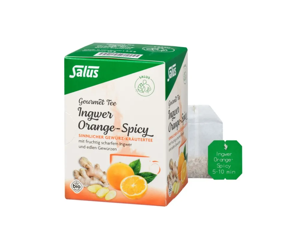 Salus Gourmet Orange-Spicy Ingwer bio