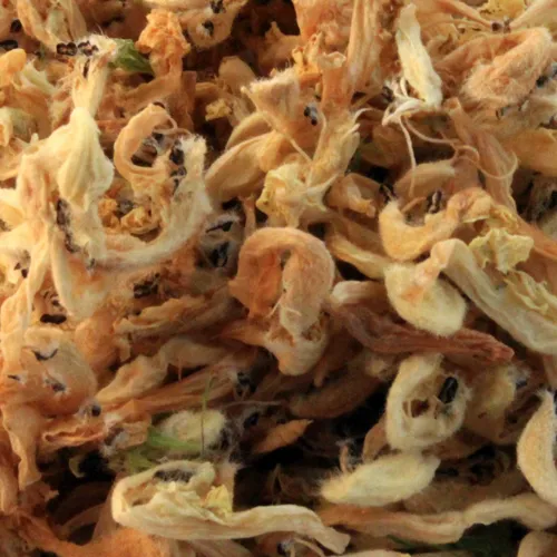 Taubnesselblüten ganz