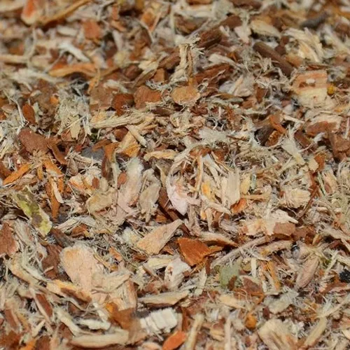 Ulmenrinde geschnitten