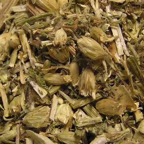 Veilchenkraut geschnitten