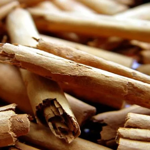 Zimtrinde Ceylon geschnitten