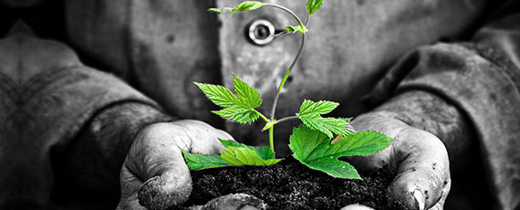 Behandlung komplexer Traumafolgestörungen Teil 1