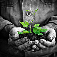 Behandlung komplexer Traumafolgestörungen Teil 1 – Bild 4