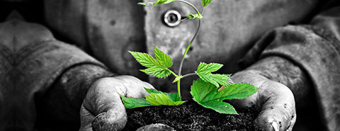 Behandlung komplexer Traumafolgestörungen Teil 1 – Bild 2