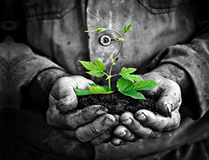 Behandlung komplexer Traumafolgestörungen Teil 1 – Bild 3