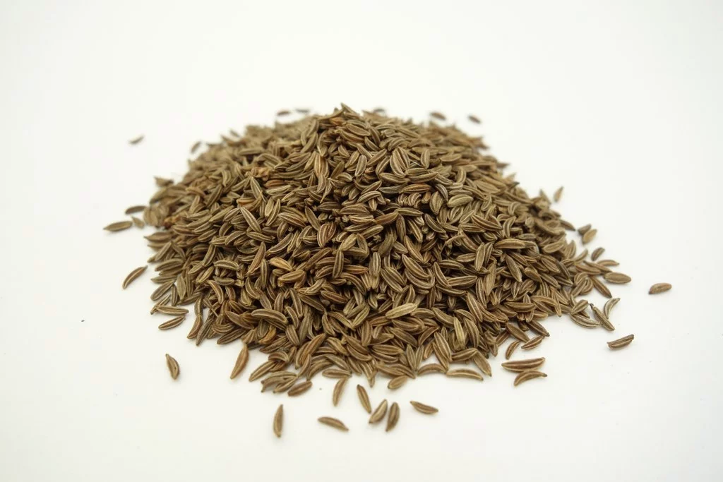 Kümmel ganz Bio, kbA, (getrocknet)