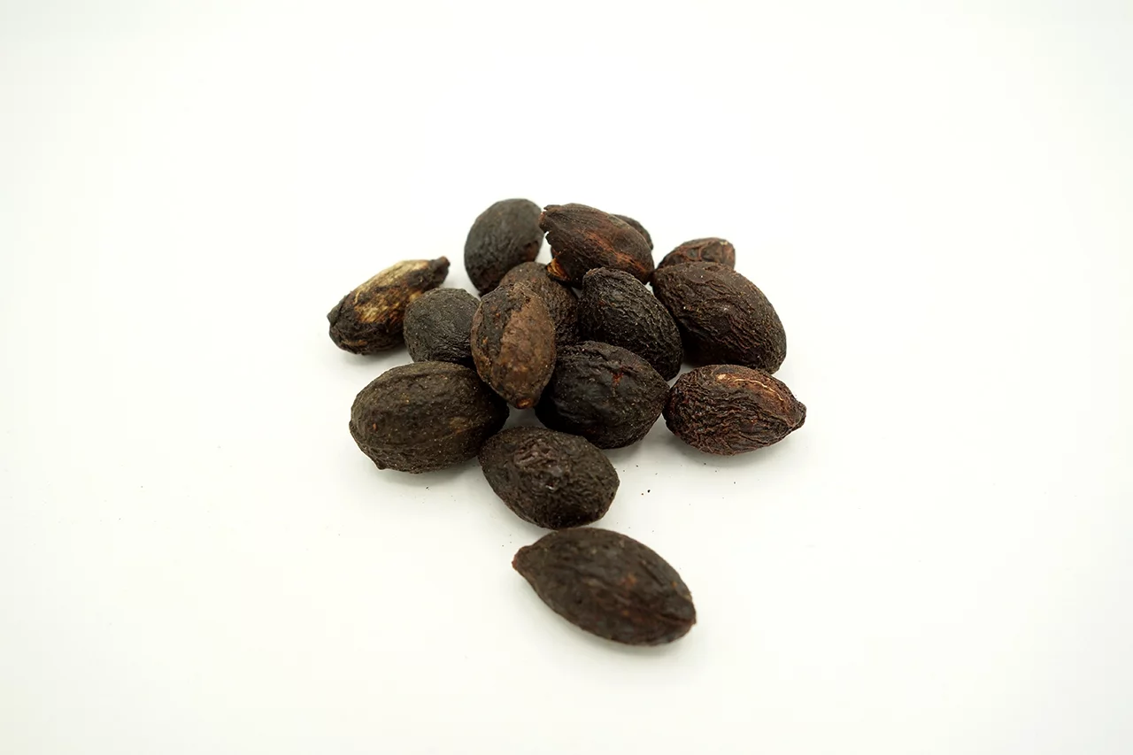 Sägepalmenfrüchte (Sabalfrüchte) ganz, (getrocknet)