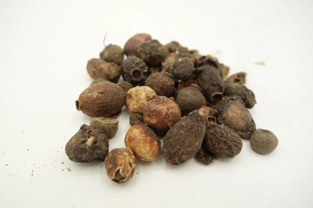 Jambulbaumfrüchte (getrocknet) ganz