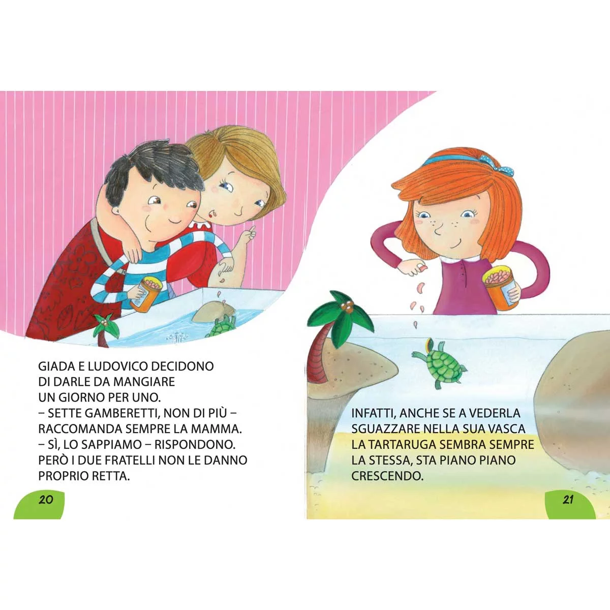 Una tartaruga extra large – Bild 3