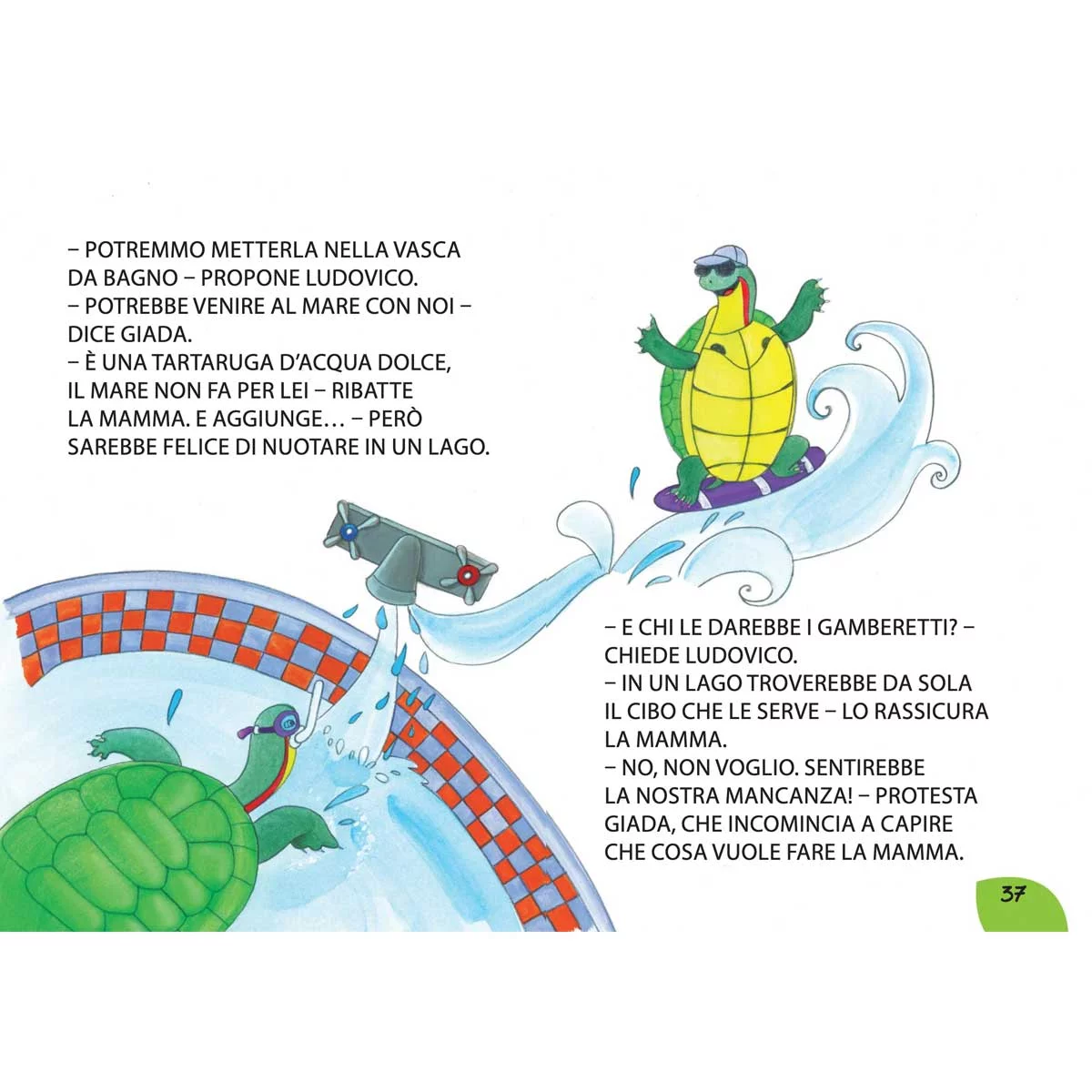 Una tartaruga extra large – Bild 5