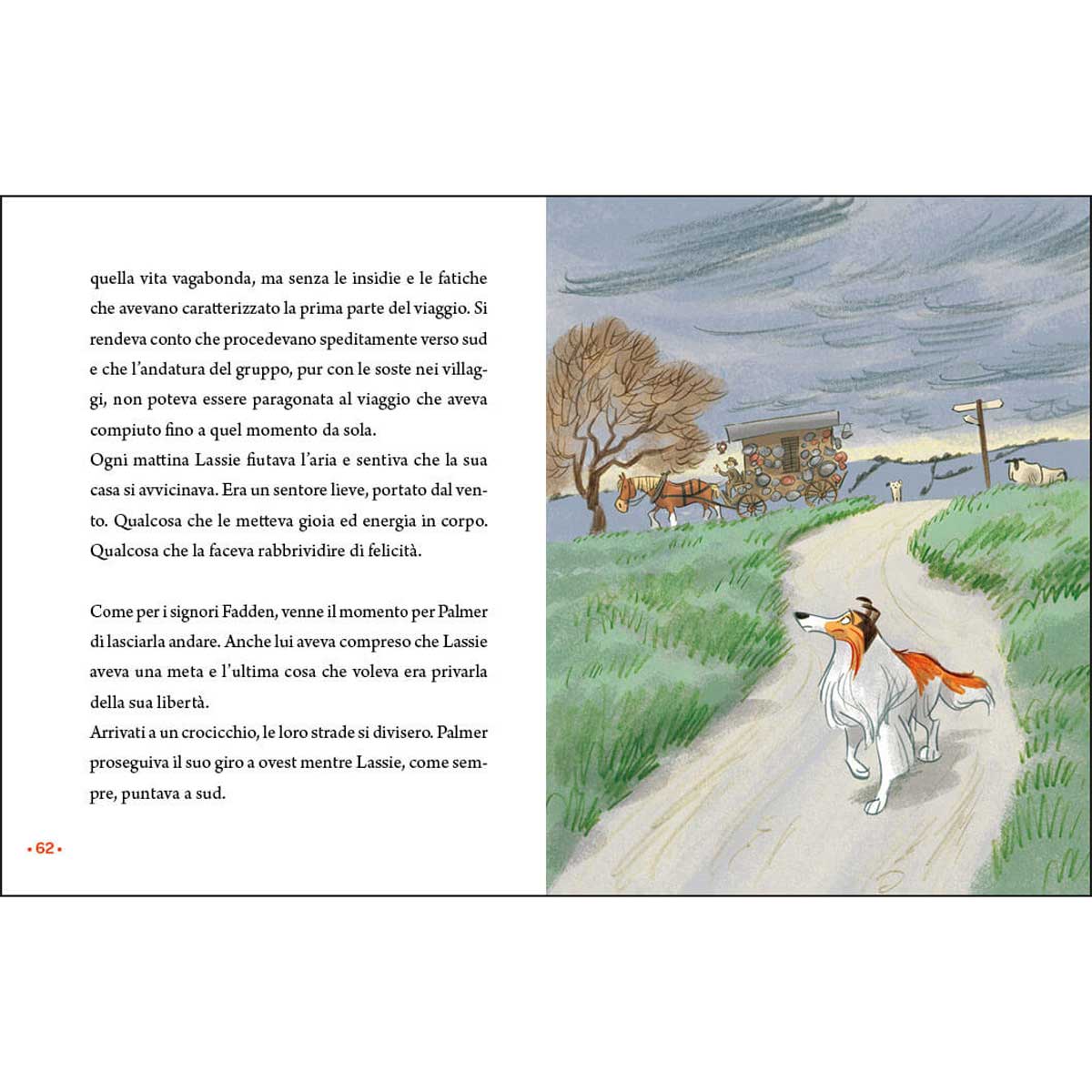 Torna a casa, Lassie! – Bild 4