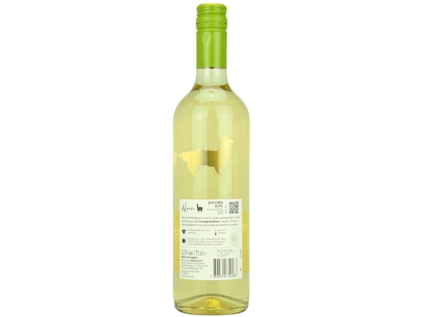 Alpaca Sauvignon Blanc – Bild 3