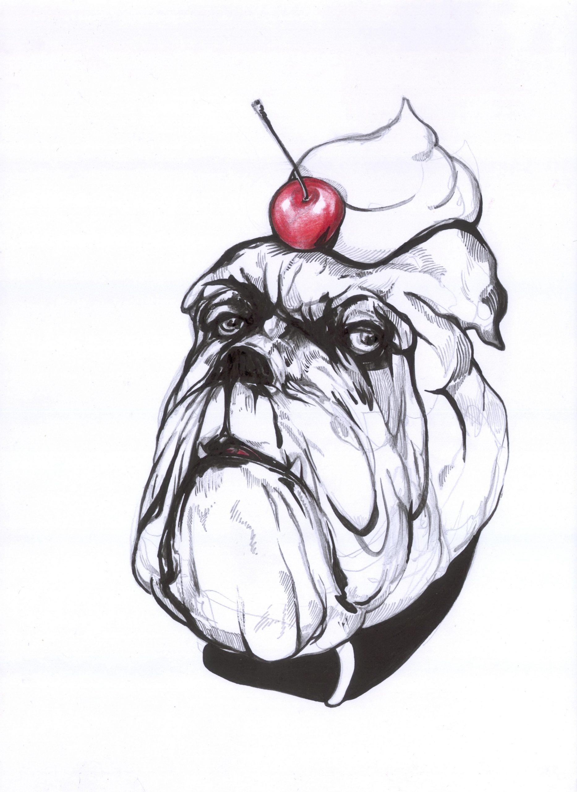 Hundekuchen mit Schlagobers