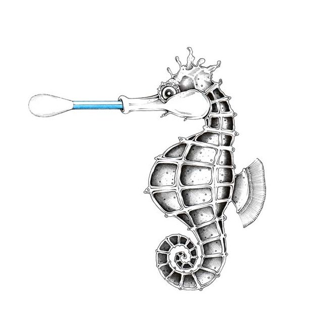 Wattiertes Seestäbchen