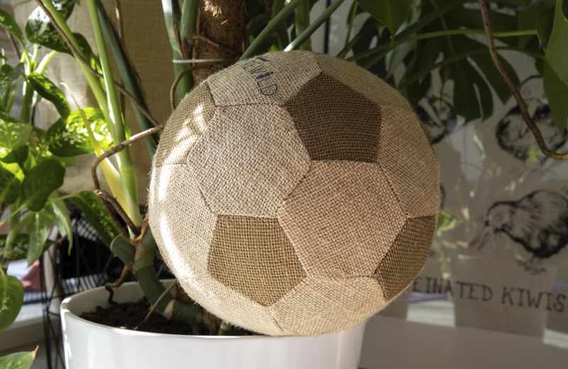 Fußball aus Pflanzen – Bild 5