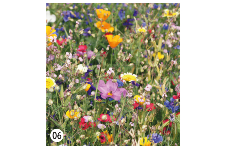 Lanyard aus Samenpapier – Bild 5