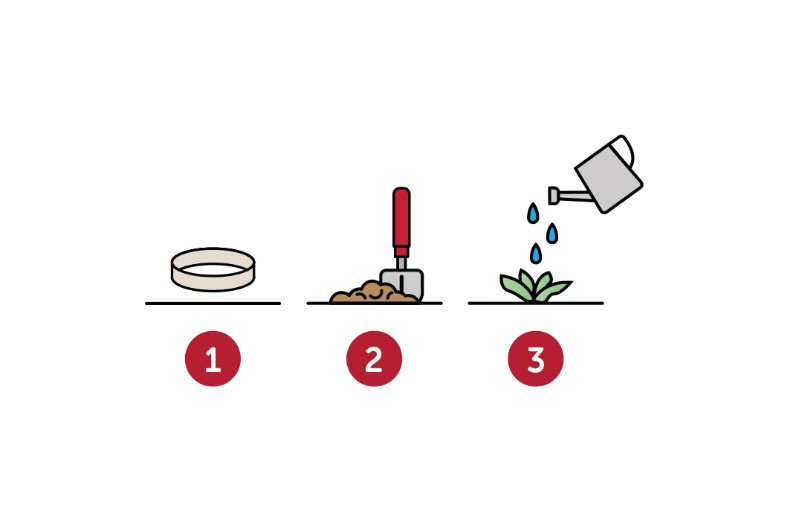 Lanyard aus Samenpapier – Bild 4