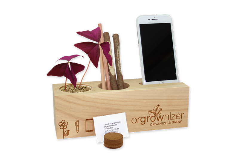 Tisch-Organizer mit Pflanze – OrGROWnizer – Bild 5