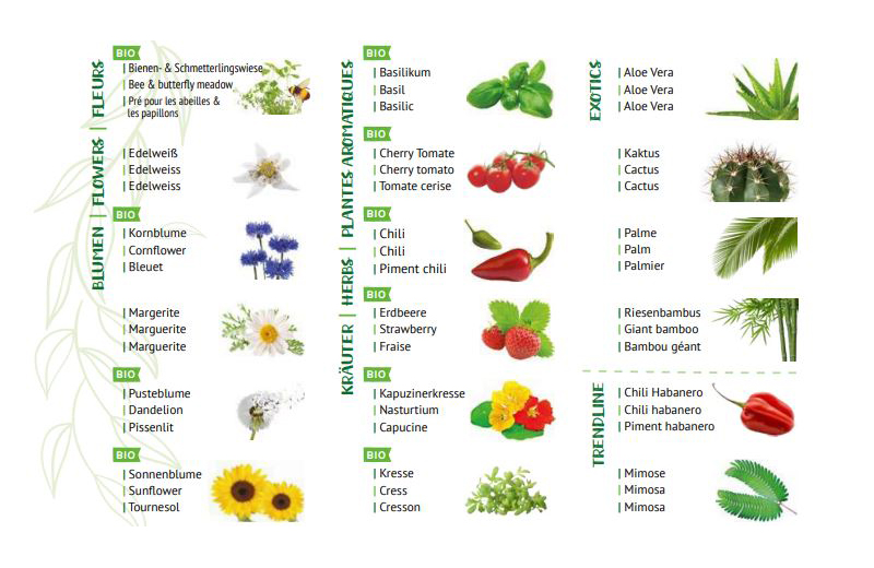 Tisch-Organizer mit Pflanze – OrGROWnizer – Bild 6