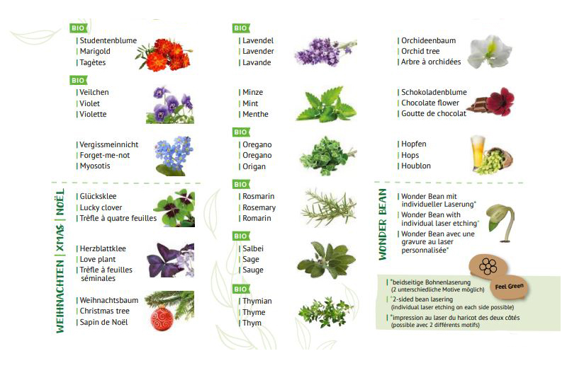 Tisch-Organizer mit Pflanze – OrGROWnizer – Bild 7