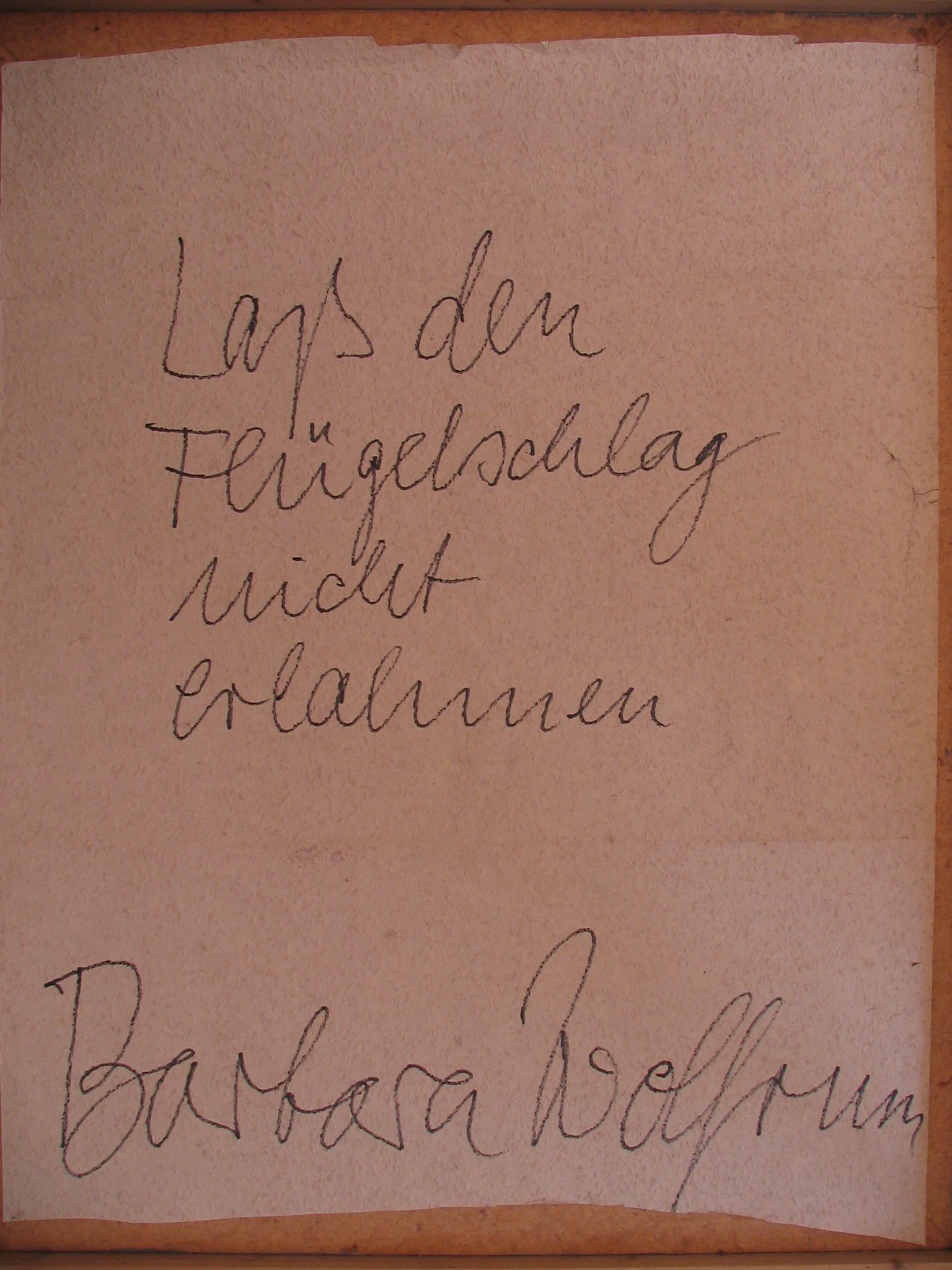 Bild „Farewell Babra“ (Barbara Wolfrum) – Bild 3