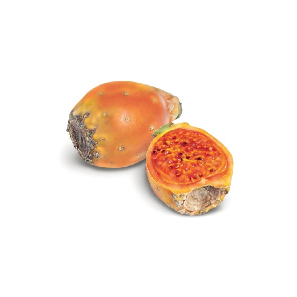 Huile Figue de barbarie (Macérât huileux) – Bild 2