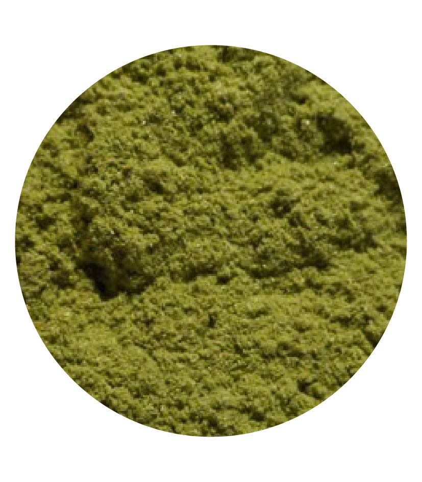 Poudre Moringa 100g – Bild 2