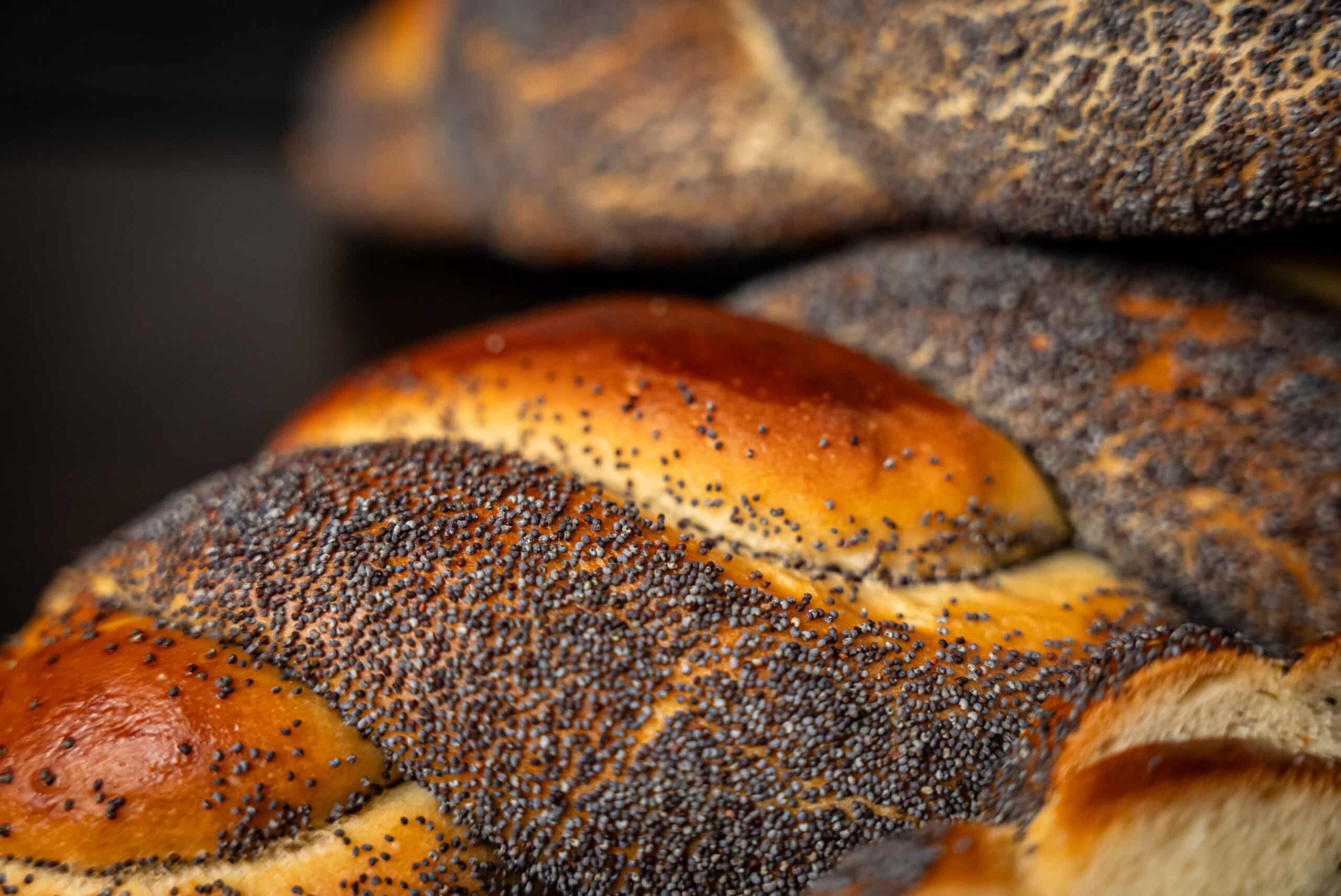 No Knead Breads 2.0 – Online-Kurs – Bild 5