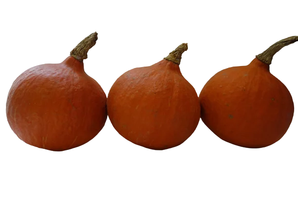 Hokkaido Kürbis orange 1kg