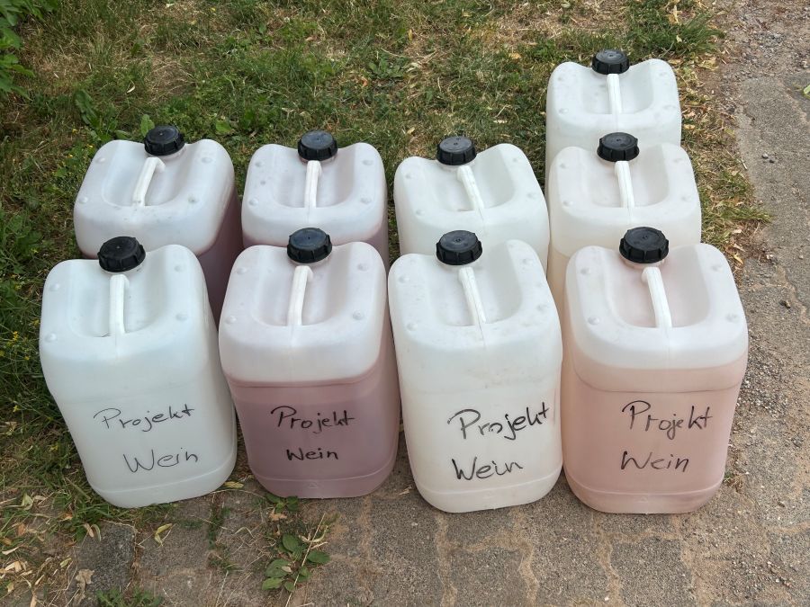 Projekt 010 – Global Brand – Bild 7