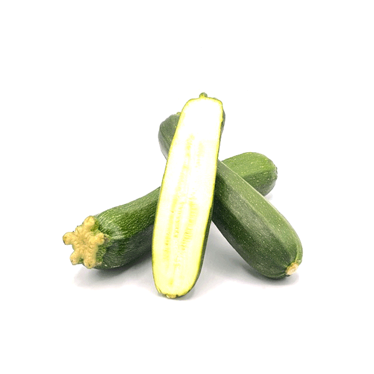 Zucchini Bio